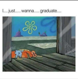 Meet your Posher, Alifina